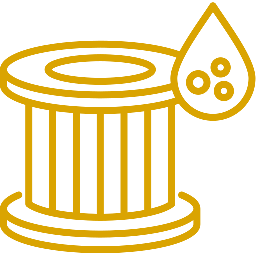 Engine Oil and Filter Change